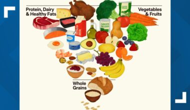 A new food pyramid has been released. Here's what it says you should eat