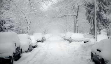 Cars on Snowy Street