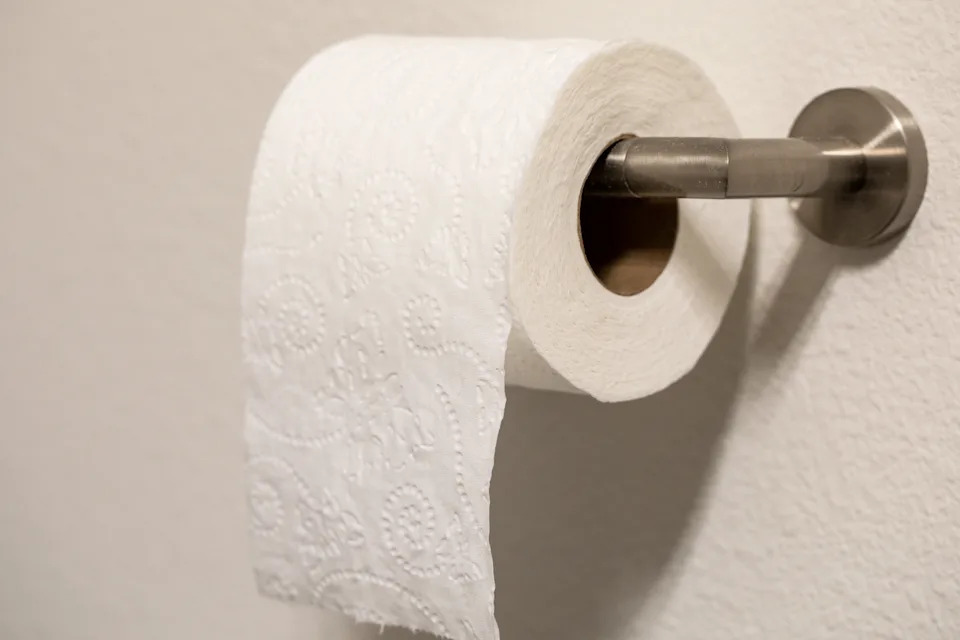 A roll of embossed toilet paper hangs on a metal holder attached to a wall