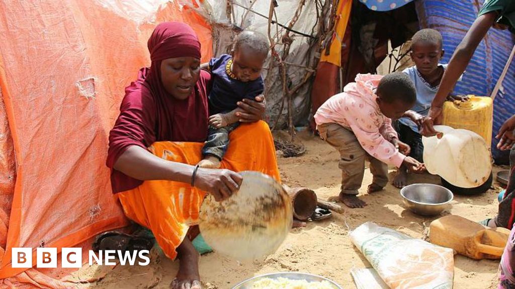 US halts assistance to Somalia over claims WFP food aid was illegally seized