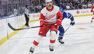 Travis Hamonic, Red Wings