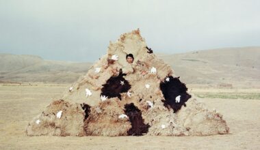 A photograph by River Claure of a figure inside of a mount of sheepskins, dotted with white birds, in the desert