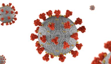 Covid-19 Is Still Killing a Disturbing Number of Americans, Study Finds