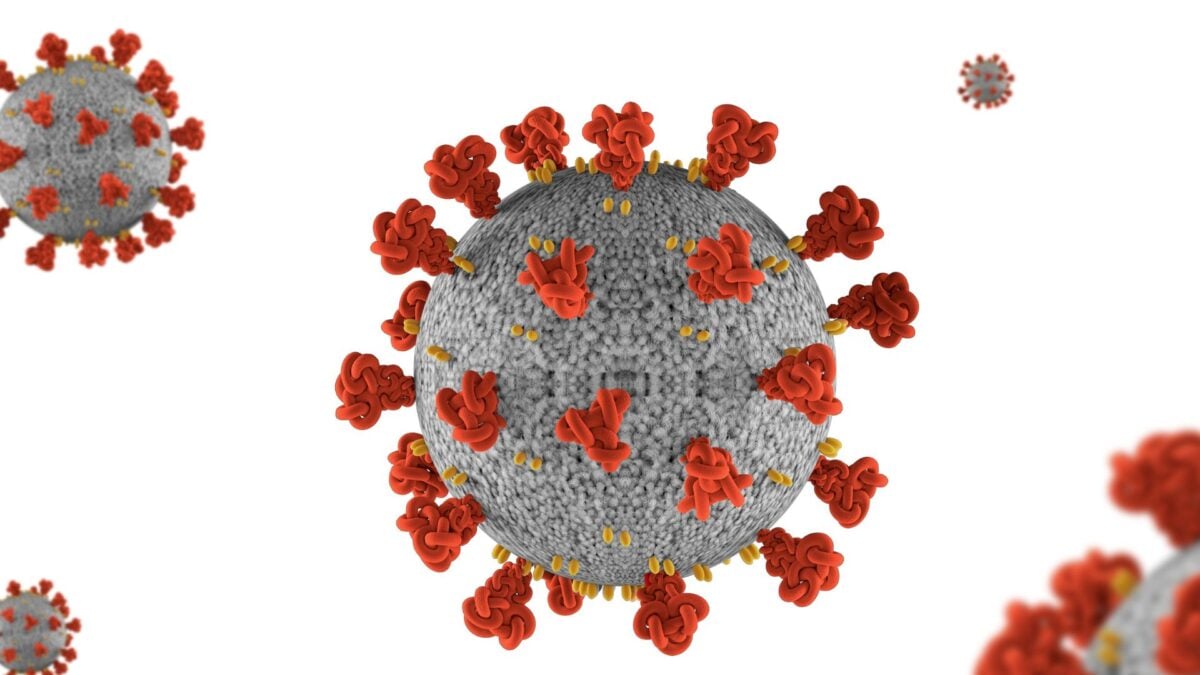 Covid-19 Is Still Killing a Disturbing Number of Americans, Study Finds