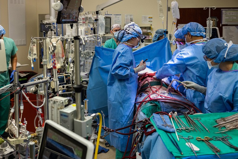 View in the operating theatre where surgeons have removed a patient’s infected lungs and attached him to an artificial lung system to keep him alive.