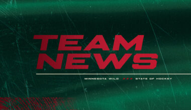 Minnesota Wild Recalls Defenseman David Jiříček From Iowa