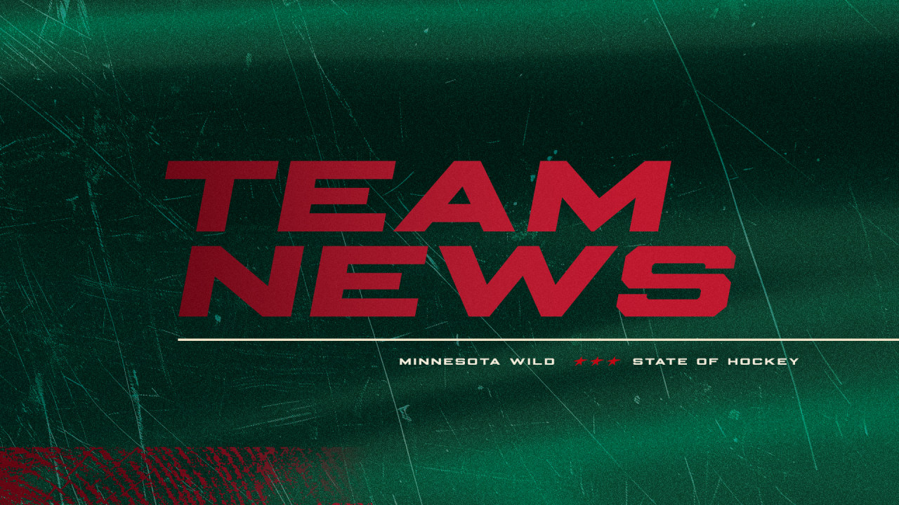 Minnesota Wild Recalls Defenseman David Jiříček From Iowa