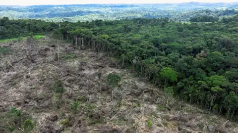 Reuters Aerial shot of deforestation in Amazon rainforest. In the distance is apparently pristine green forest but in the foreground is an area bare of trees.