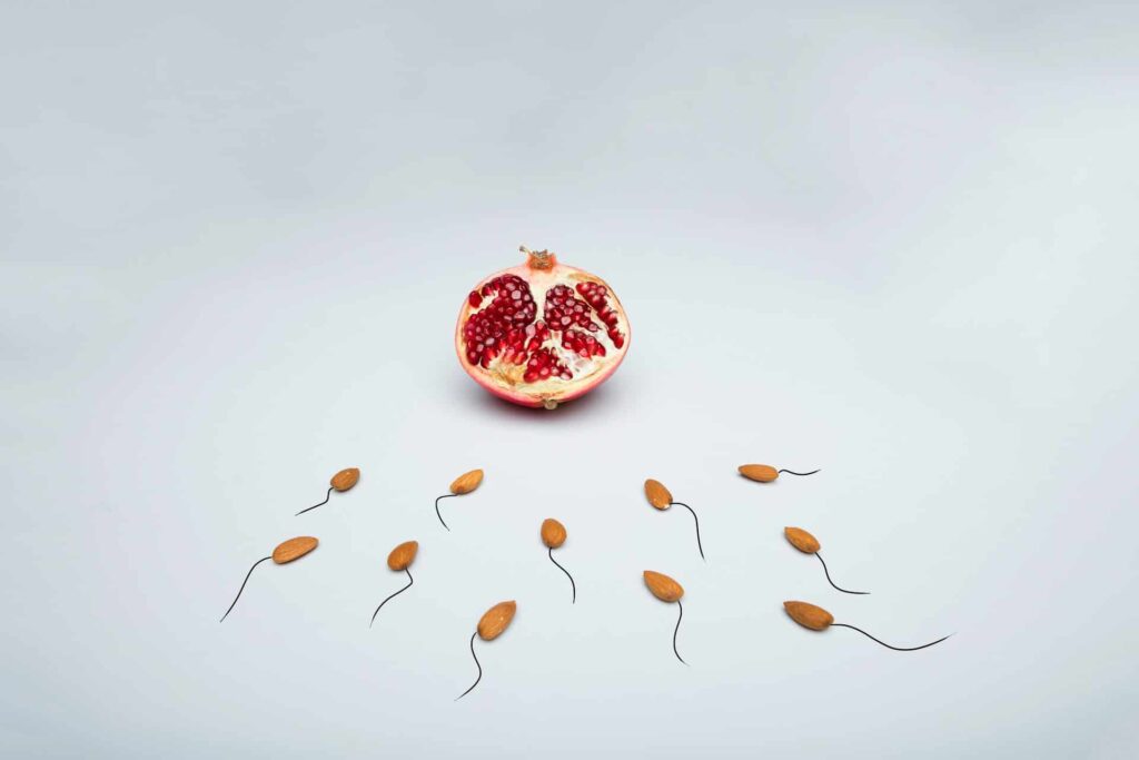 Pomegranate and almonds set to look like an egg and sperm cells on a white background for health and fertility research.