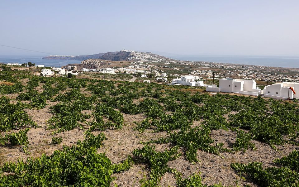 Spatial uncertainty, limited land curb investment, report warns