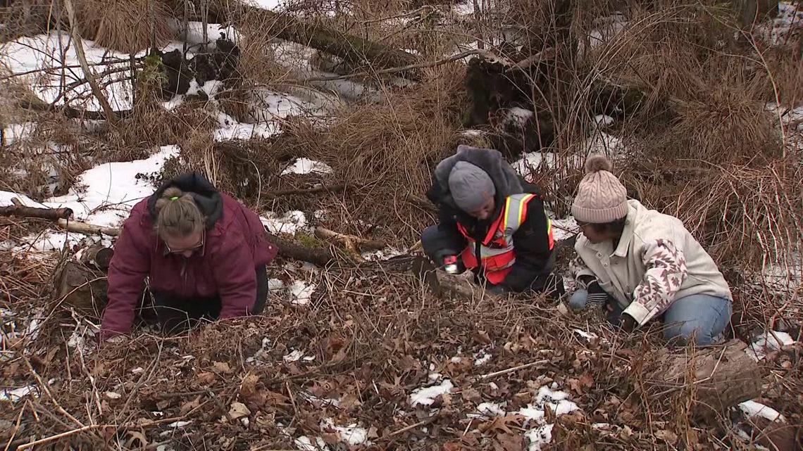 Lizard spotted near Marshalls Creek raises concern for local wildlife and pets
