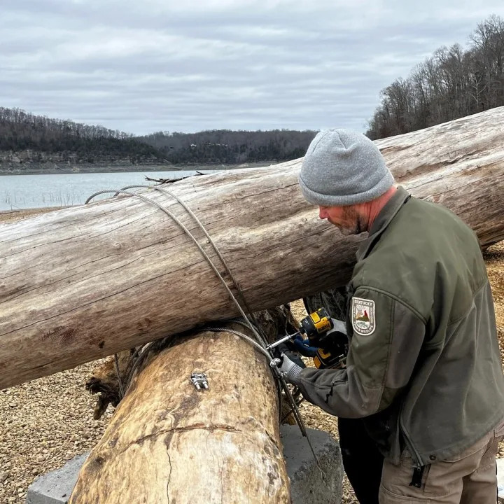 Staff will repurpose the driftwood to the fish. (KDFWR)