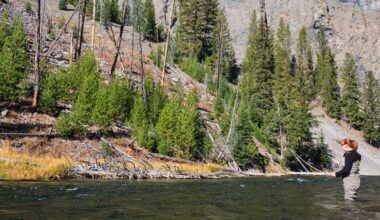 Yellowstone Fly Fishing