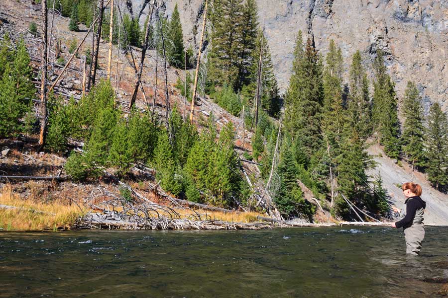 Yellowstone Fly Fishing