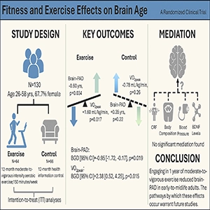 Fitness and exercise effects on brain age: A randomized clinical trial. Credit: Journal of Sport and Health Science