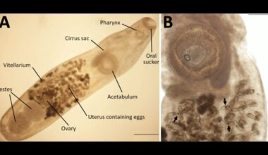 Woman Visits the Galápagos and All She Got Was This Exotic Eye Parasite