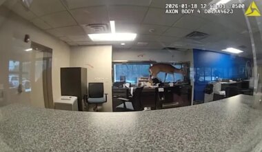 Buck wild: Deer crashes through Ridge bank window, sets off burglary alarm - longisland.news12.com