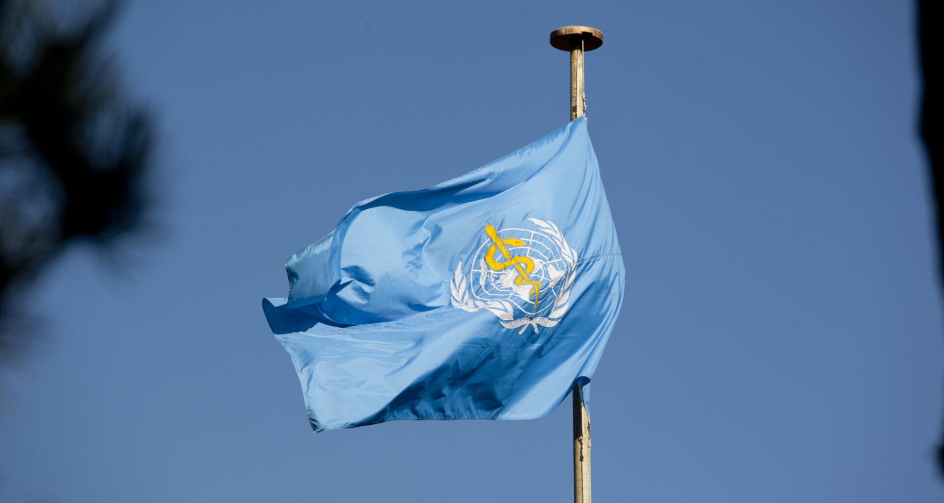 The United States has officially left WHO, ending a year of controversial health reforms