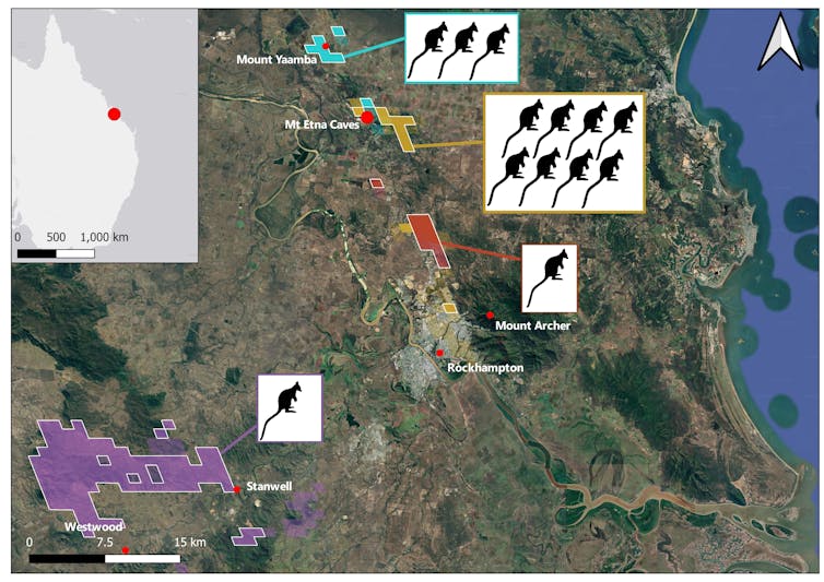 Regional map showing probable home ranges of rock wallabies.