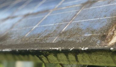 The solar boom has a dirty secret. Here’s how to avoid another mountain of waste that can’t be recycled