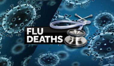 Pennsylvania reports 22 flu-related deaths amid high hospitalization rates
