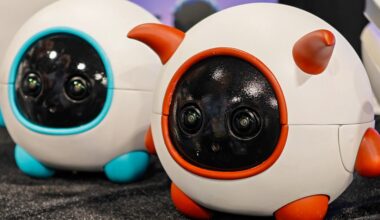 This robot companion is a cameraman for your pet