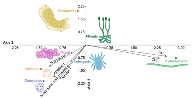 graph comparing phytotaxis