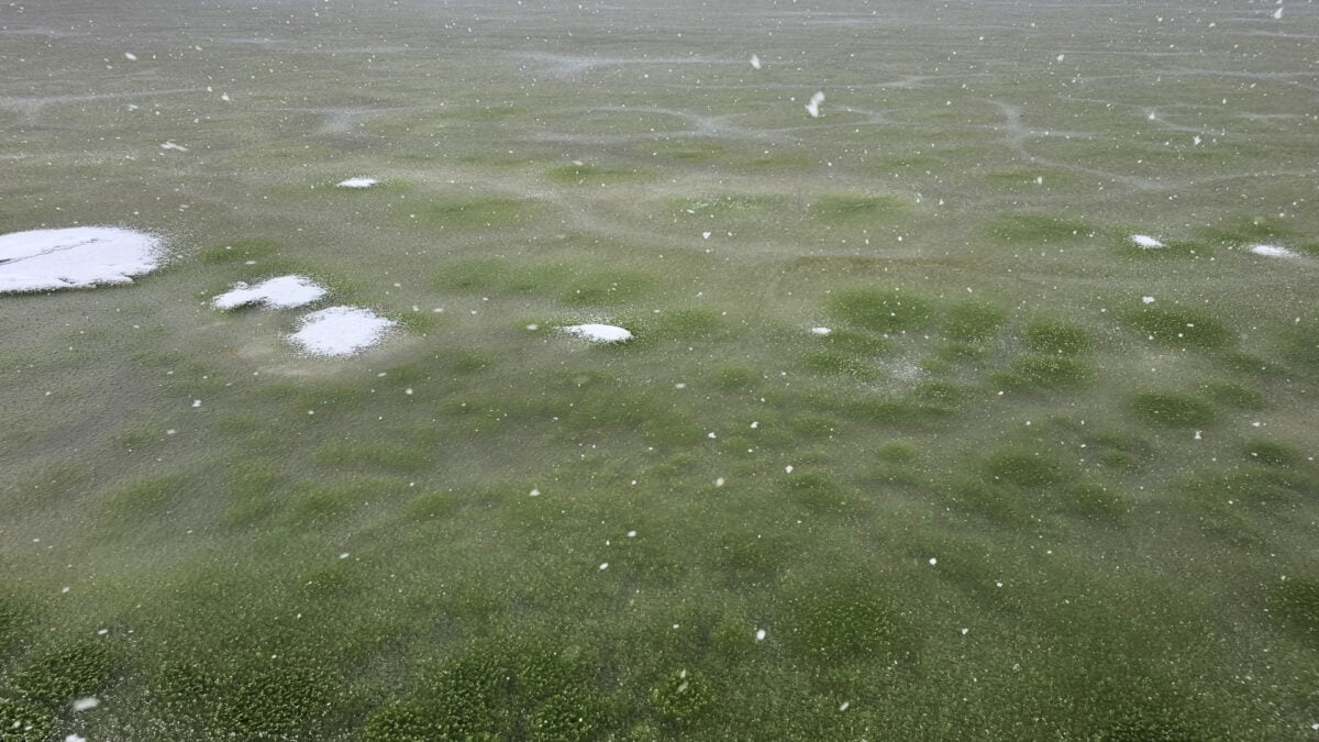 Whoa, Why Has This Frozen Lake Turned Green?
