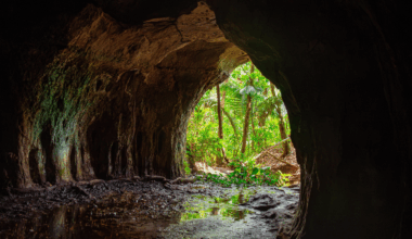 He Left A Camera In A Cave For 10 Years, What It Recorded Left Everyone Stunned