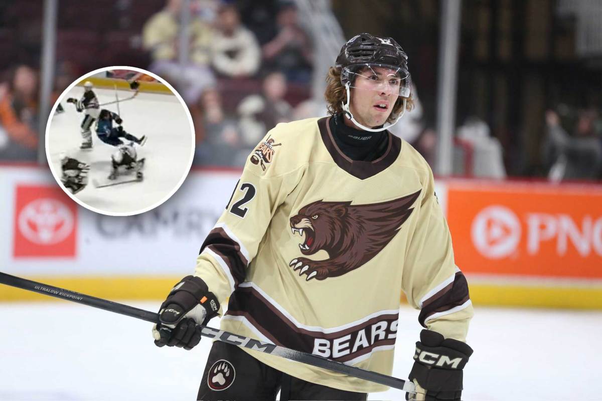 Henrik Rybinski doles out one of the biggest hits of the AHL season on Roman Ahcan