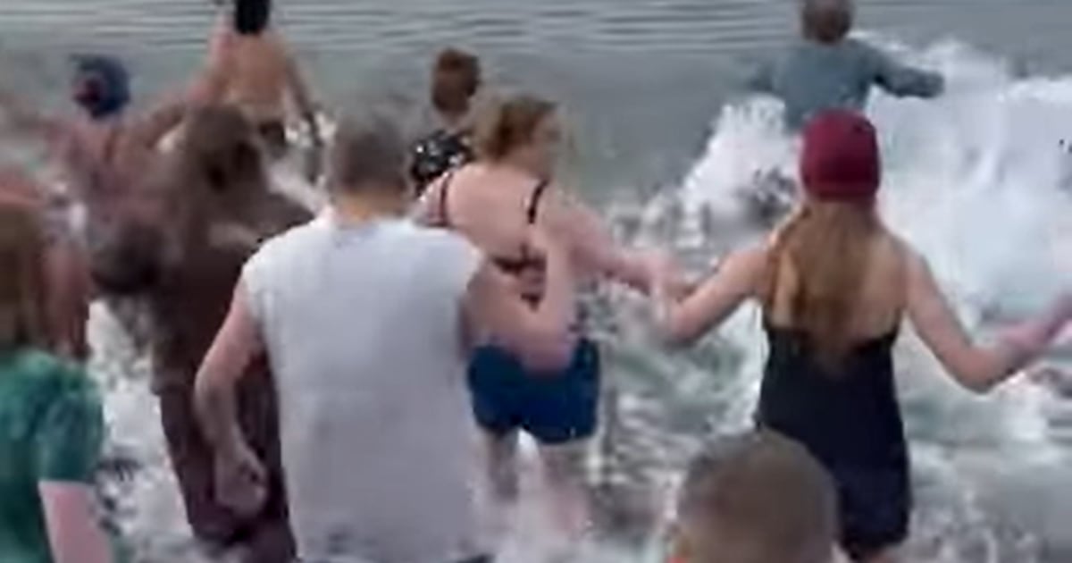 Brrr! Birch Bay tries to set world record for largest Polar Bear Dip – KIRO 7 News Seattle