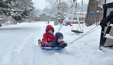 Pets and people play (or plow) during winter storm – WPXI