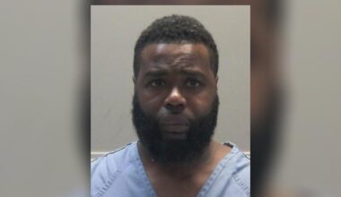 Woman shot while trying to break up fight; suspect in custody – WHIO TV 7 and WHIO Radio