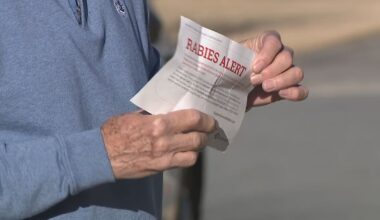 Rabid coyote attacks 3 people in Gwinnett County neighborhood – WSB-TV Channel 2