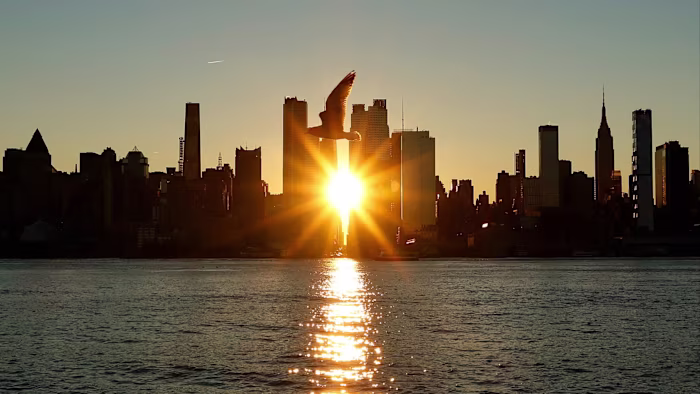 The sun rises behind midtown Manhattan’s skyline with a bird silhouetted in front and its reflection on the Hudson River.