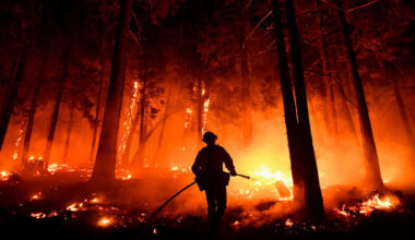 Kern County Fire Captain Bruce Wells uses a hose to fight flames near burning trees during the French Fire in Sequoia National Forest.