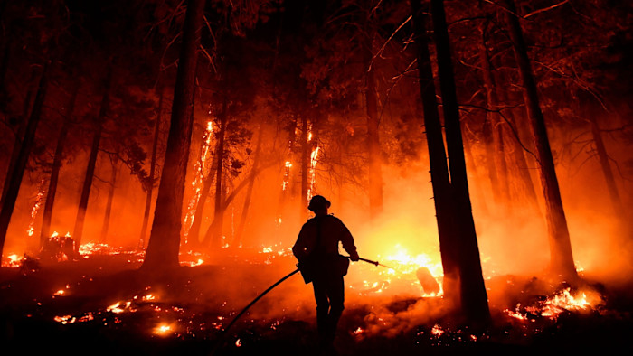 Kern County Fire Captain Bruce Wells uses a hose to fight flames near burning trees during the French Fire in Sequoia National Forest.
