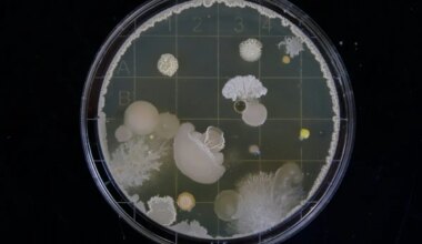 Symptoms, prevention and, affected states