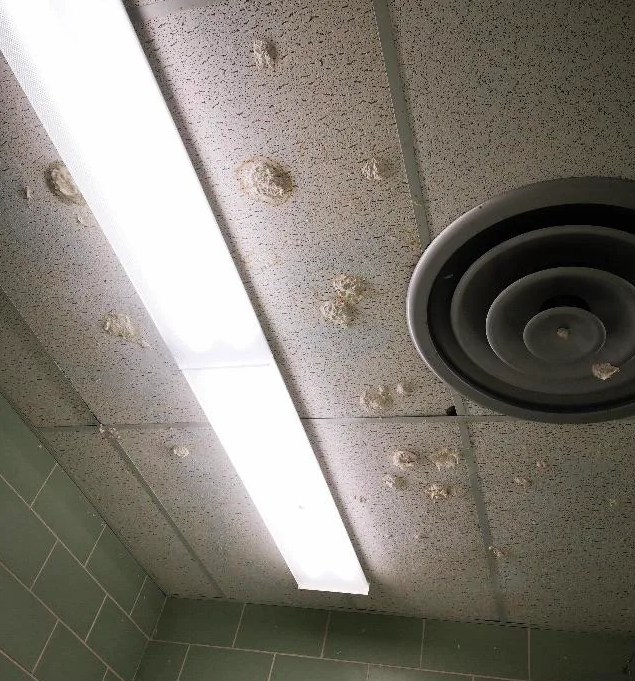 Toilet paper on wall