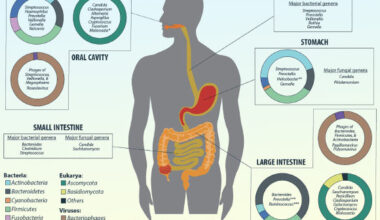 Díaz-Muñoz et al. identified therapeutically tractable mechanisms involved in the control of gut motility, including a previously unrecognized role for vitamin B1. Image credit: Hillman et al., doi: 10.1264/jsme2.ME17017 / CC BY 4.0.