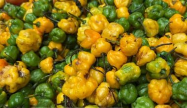 Higher food prices drive 1.3 per cent increase in December CPI, says STATIN