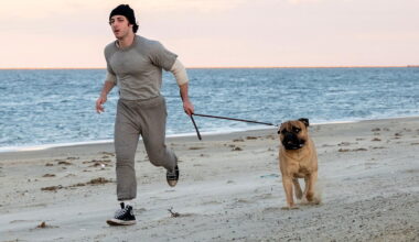 "In the Grey," "I Play Rocky" Set New Dates