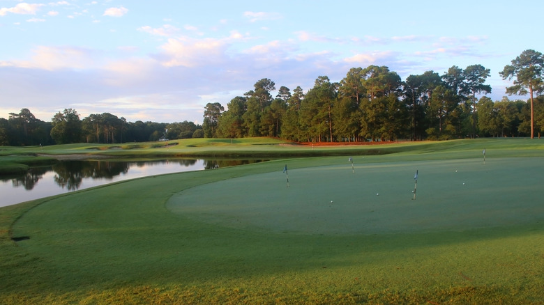 scenic water view with trees on cleanly manicured golf course in Myrtle Beach