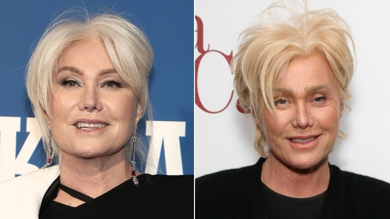 A side-by-side comparison of Deborra-Lee Furness's face