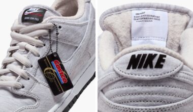 Kirkland Costco Nike SB Dunk Low