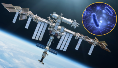 International Space Station as main image, circle superimposed on the image showing a digital illustration of e. coli bacteria.
