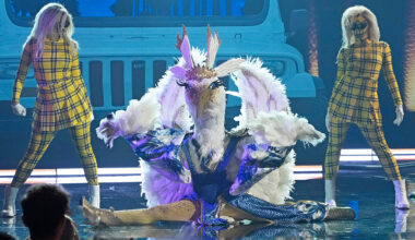 The Masked Singer Season 14 Cast Spoilers, Every Clue & Reveal