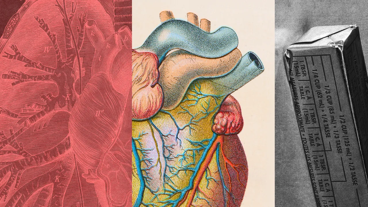 What Is LDL Cholesterol and How Do You Lower It?