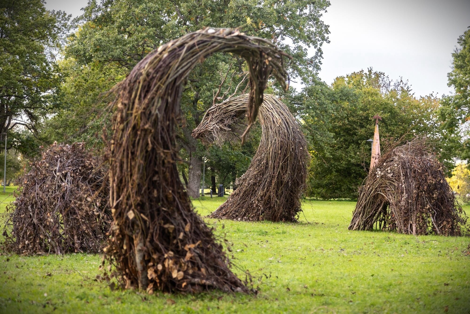 An installation in a park of a dragon made from branches and twigs by Rodolfo Liprandi