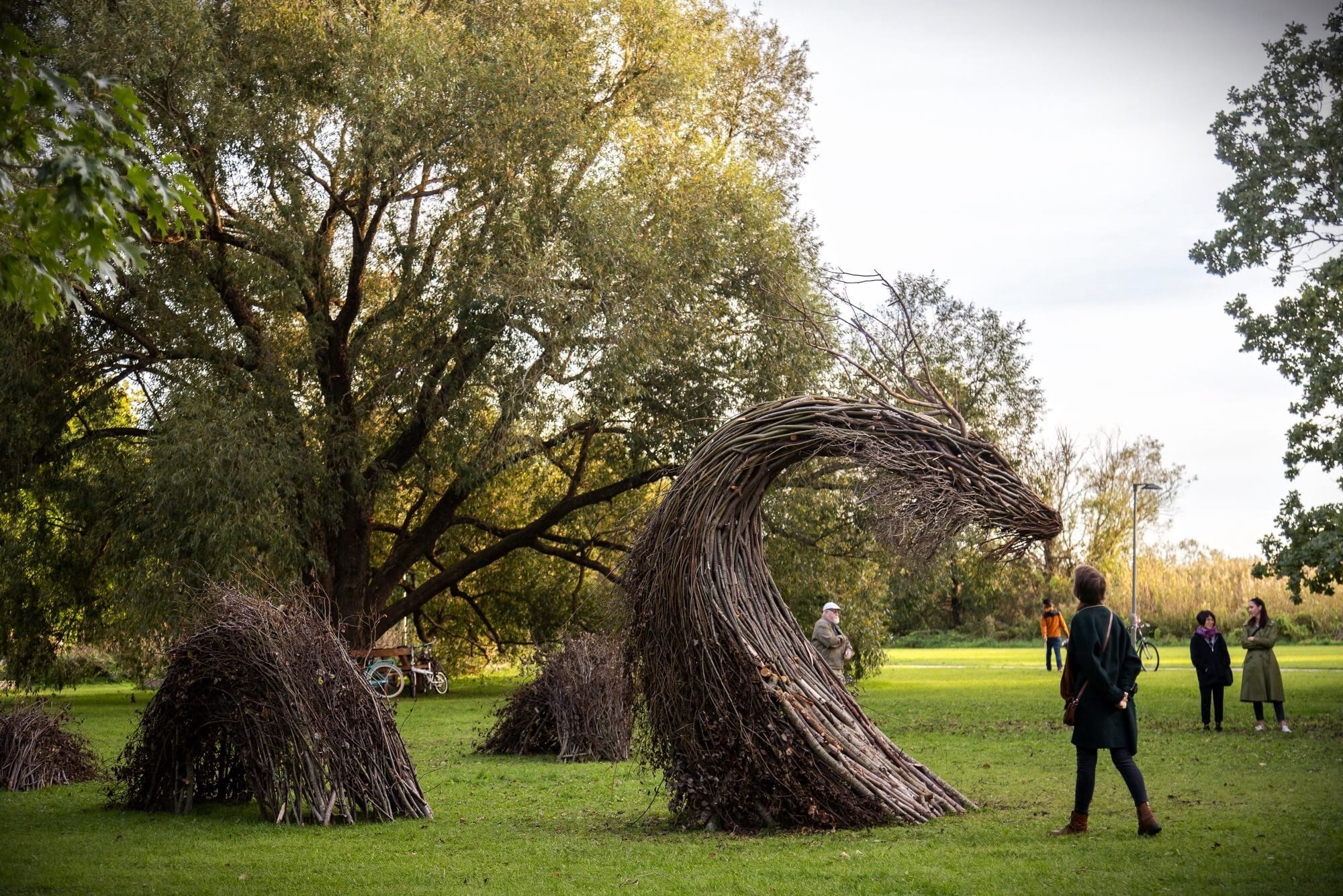 An installation in a park of a dragon made from branches and twigs by Rodolfo Liprandi